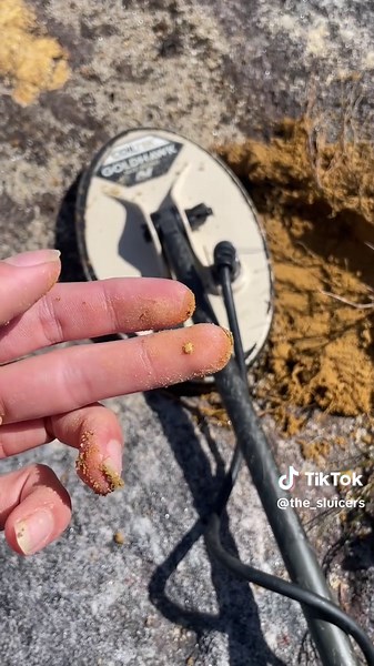 Finding Gold Nuggets While Metal Detecting Live