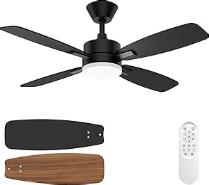 Ceiling Fan 42 Inch, Remote Control Reversible DC Motors, 3CCT Dimmable Timer Noiseless, Ceiling Fan with Light for Bedroom Living Room, Indoor&Outdoor Black