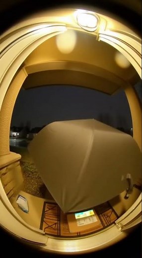 Umbrella Fails to Block Blue Dye