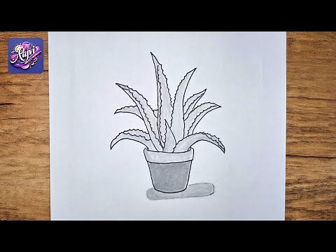 🌿 Aloe Vera Plant Drawing with Pencil Colors | Easy Sketch Tutorial ✏️🎨