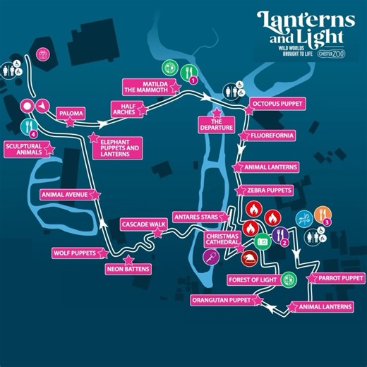 4 comments | Heading over to @chesterzoo? Check out our map for Lanterns & Light ✨! Which part of the trail are you most excited to see? #ChesterZoo #LanternsAndLight #LanternsAndLightChesterZoo #LightShow #LanternFestival #Lanterns #LightArt #LightSculpture #LightInstallations #ChristmasLights #ChristmasLightShow #XmasLights #XmasLightShow #Cheshire #CheshireLife #Chester #FamilyDay #FamilyDayOut #DateNight #LightTrail #ChristmasLightTrail #Christmas | My Christmas Trails | Facebook