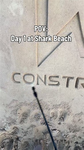 Day 1 at Shark Beach in Texas #sand#sandcastle#sandsculpture#beach#trending