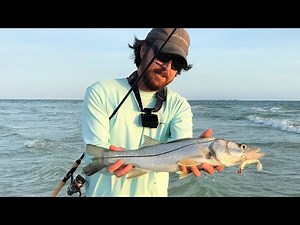 5 Tips To Catch Snook From The Beach This Summer