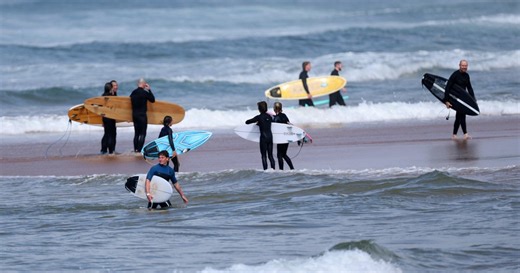 Australian surfer killed in shark attack