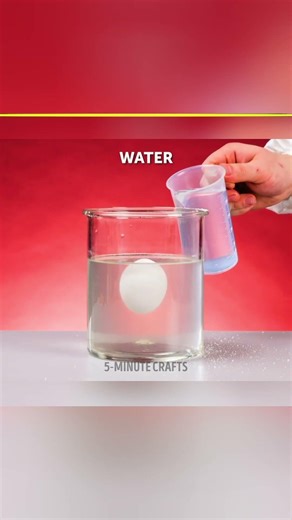 2 Mind-Blowing Science Tricks That Look Like Magic 🤯🔥 #ScienceTricks #MindBlowing #DIYScience