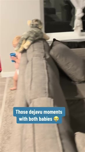 Cane Corso Playing with Children: Heartwarming Moments