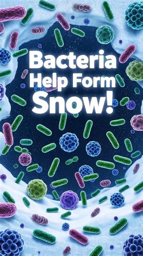 Snow Under the Microscope: Beauty or Bacteria? ❄️😱
