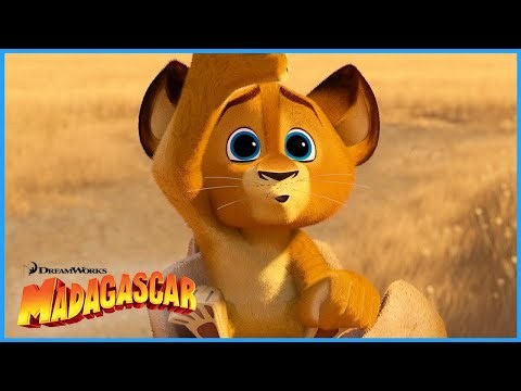 Alex's Cutest Moments! 🦁🥹 | DreamWorks Madagascar