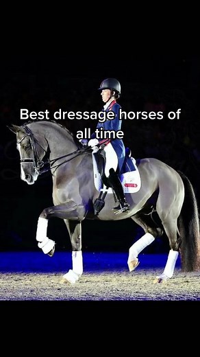 #foryоu #horse #horseedit #horsesoftiktok #dressage #equestrian | dressage horses