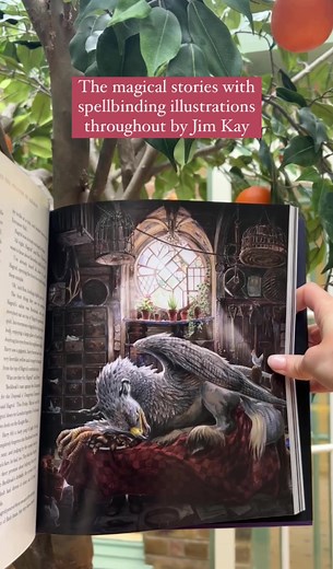 Bloomsbury Books on TikTok