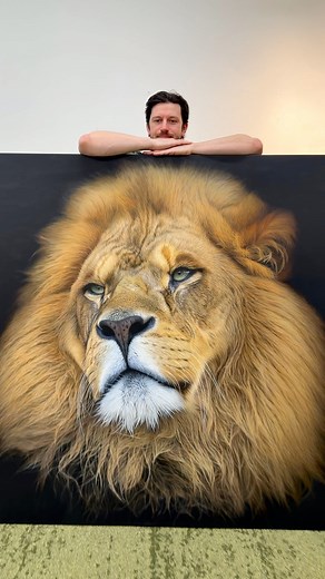 My brand new 5ft Lion Painting 🎨🦁🤙🏻 “Golden Reflections” is one of my largest paintings to date. This 5ft X 5ft painting represents a decade worth of painting Lions as a main subject matter. The look of the lion seems to be reflecting back, almost in a daze. I look back on the past ten years completely in awe of how far I have come as an artist. My lifelong dream was always to be a painter. As a child I was obsessed with collecting images of lions so I could draw them endlessly. These large,