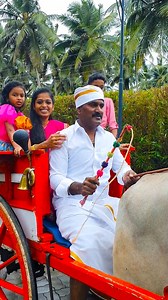 328K views · 10K reactions | Ungal Coco Lagoon provides guests an opportunity to experience #nammapollachi via #Bullockcartride. Guests will be taken around in a decorated bullock cart to a scenic village for a feel of rural Tamil Nadu. A family of 4 or fewer can enjoy riding in one cart. To book this experience, call us 94890 46005 or DM us. | Coco Lagoon, Pollachi | Facebook