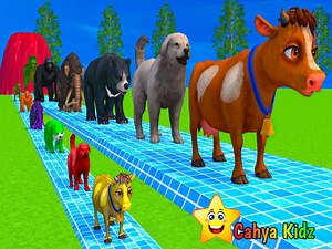 246K views · 1.8K reactions | Learn to Know Animals Cow, Monkey, Pig, Duck, Lion, Elephant Cartoon Animals | Cahya Kidz Children's Songs濾 Children's Videos | Children's Cartoons | Education For Kids . . . . . canciones infantiles dibujos animados para niños aprender colores #kids #leararncolors #song #highlights #foryou | Cahya kidz - Lagu Anak Anak | Facebook