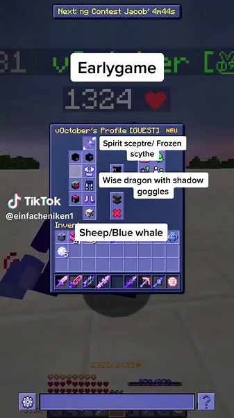 Mage Setup in Hypixel Skyblock #skyblock #hypixelskyblock #playskyblock #minecraft #dungeon #fy #contraband