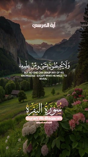 علاج الضيق والهم.. "لا يكلف الله نفساً إلا وسعها" بصوت يذيب القلوب