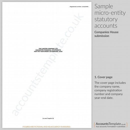A guide to Micro-Entity statutory accounts format | Accounts Template