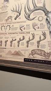 The "Art of Hunting" bundle features three of my most popular whitetail prints. Combining anatomically accurate sketches as well as facts and figures, these prints will be the talk of hunt camp! Save 20% when you purchase the bundle. Only available at ryankirby.com | Ryan Kirby Art