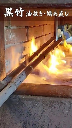 【竹虎】伐採した黒竹を真っ直ぐにする！竹虎の職人技が光る、油抜きと矯め直しの工程 Japanese bamboo material #shorts