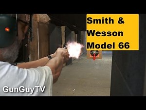 Smith & Wesson Model 66. Great for home defense!
