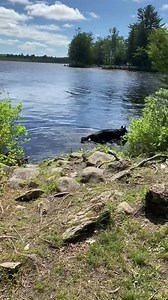 Morning swim 🏊‍♀️ | Ten Shakes of Grace