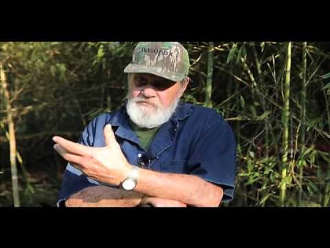 Nuking Mississippi: Remembering the 1964 Nuclear Test