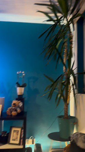 Well… he twisted my arm! The decorations have gone up! Here’s the Transition. #christmasdecorations #transition | Paul Dennison