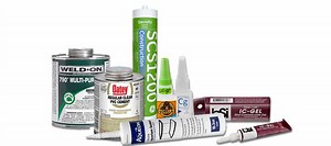 | The Beginners Reef