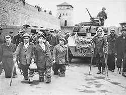 Concentration Camps and Medical Experimentation