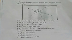 Maths teacher draws a straight line AB shown on the blackboard ... | Filo