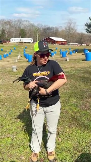 Boneyard-farm-Sweater Kelso Cross Stag 💪 | Cow Farm