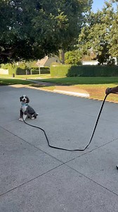 5.4K views · 307 reactions | Odysseus finishes his “boot camp”...