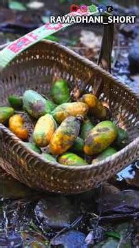 Part 1 - September Yellow' (Rosa laevigata fruit) - in autumn, the mountains don't only have '
