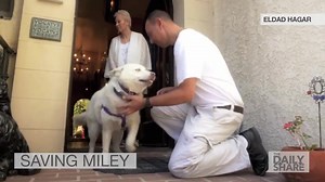 463K views · 5.9K reactions | Husky pup living in trash - what an amazing transformation one year later. | HLN | Facebook