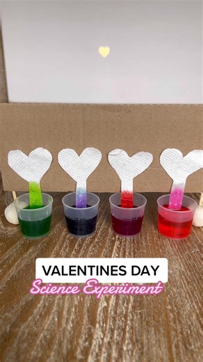 Quick Science Experiments for Kids Under 5 Minutes