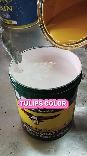 Tulips color latex gloss #tulips #rawsienna #white #paintmixing #fbreelsfypシ゚viralfbreelsfypシ゚viral | B-M colors TV