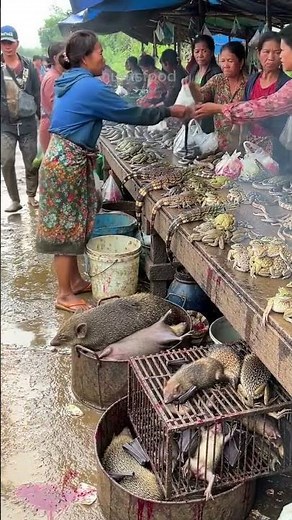 Extreme Tomohon Market: Realistic Footage of Exotic Animals for Sale