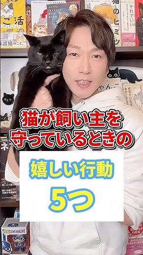 猫が飼い主を守ってるときの嬉しい行動５つ #猫 #猫のいる暮らし #ねこ