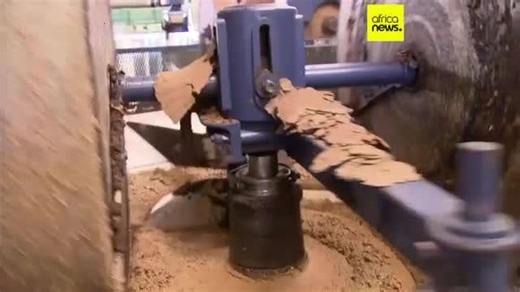 Maroc : la saison de récolte des olives célèbre la transmission des traditions