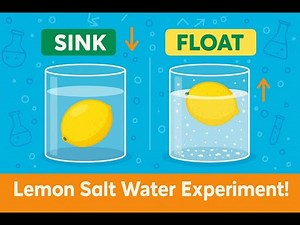 🍋 Lemon Salt Water Density Experiment | Easy Science Activity for Kids | Floating Lemon Trick |