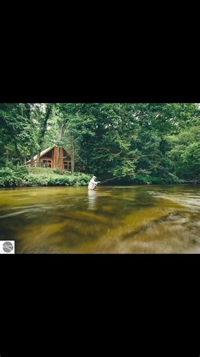 20K views · 157 reactions | Welcome to Michigan’s most expensive old...