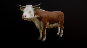 COW ANIMATIONS - Buy Royalty Free 3D model by PROTOFACTOR, INC. (@protofactor)