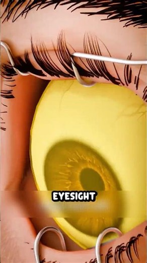 How Long Could Your Eyes Survive Without Blinking