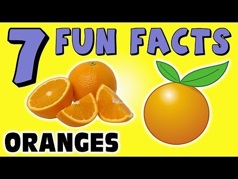 7 FUN FACTS ABOUT ORANGES! ORANGE FACTS FOR KIDS! Learning Colors! Citrus! Fruit! Funny Sock Puppet!