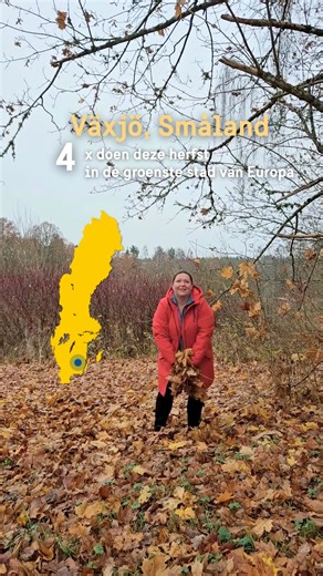 Wat een heerlijke, knusse herfstmiddag in Växjö, Zweden! 🍂 Plannen voor een trip naar Zweden? Vergeet dan zeker het charmante Växjö niet! Ervaar dit najaar de magie van de veranderende bladeren en de frisse lucht, terwijl je een stad verkent die naadloos geschiedenis, innovatie en een verrassend levendige culinaire scene combineert. ✨ Duik in de geschiedenis: Het Huis van de Emigranten Hoewel voor veel Amerikanen een plek van persoonlijke geschiedenis, is het Huis van de Emigranten (Utvandrarna