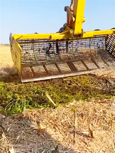 Outdoor Fishing with an Excavator: Big Machine, Big Catch!