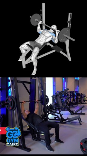 Chest Exercises at the Gym | Gym Exercises Explained for Beginners | Upper Chest Gym Cairo Inclin...