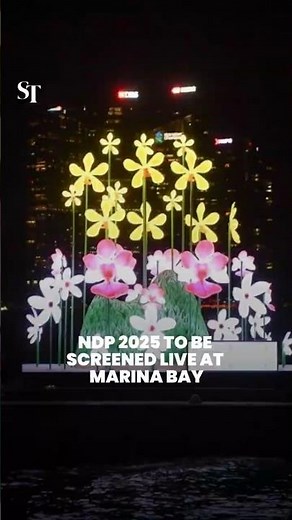 NDP 2025 to be screened live at Marina Bay