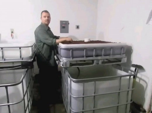 IBC吨桶鱼菜共生【鱼菜共生】