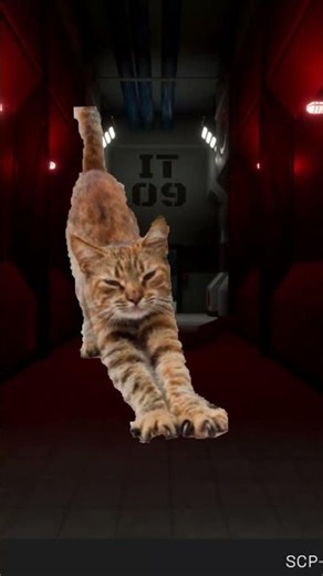 FUNNY MOMENTS Scp Secret Laboratory - REUPLOAD [OLD]