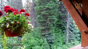 Explore the Canadian Rockies - Part 1 4K UHD